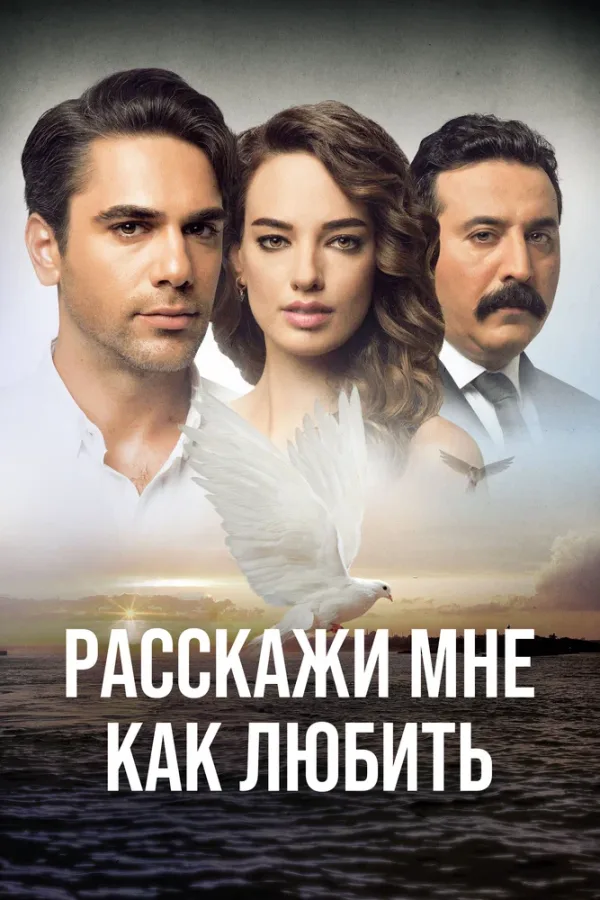 Расскажи мне, как любить — постер