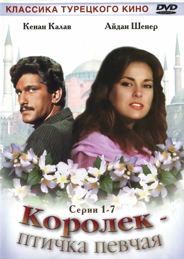 Королёк – птичка певчая — постер