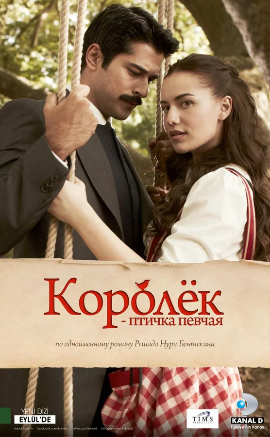 Королёк – птичка певчая — постер