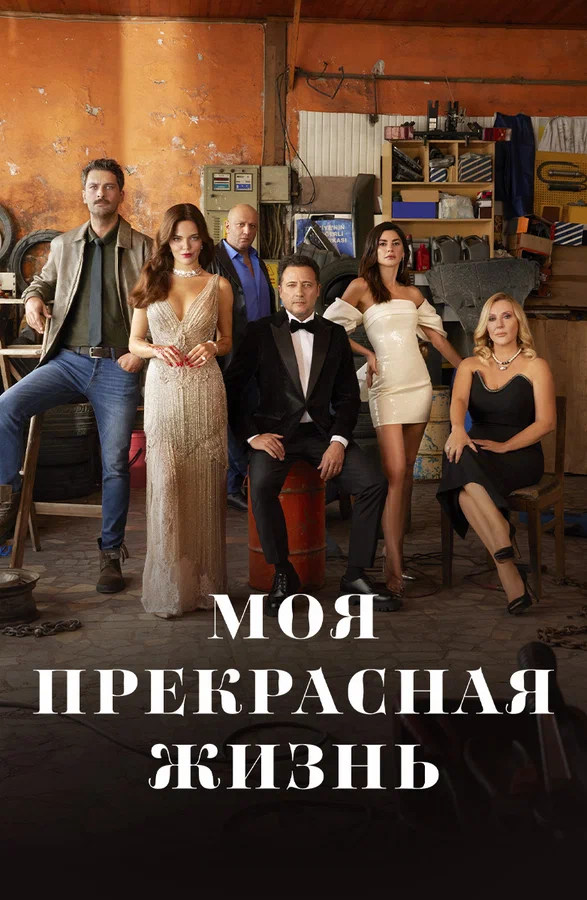 Моя прекрасная жизнь — постер
