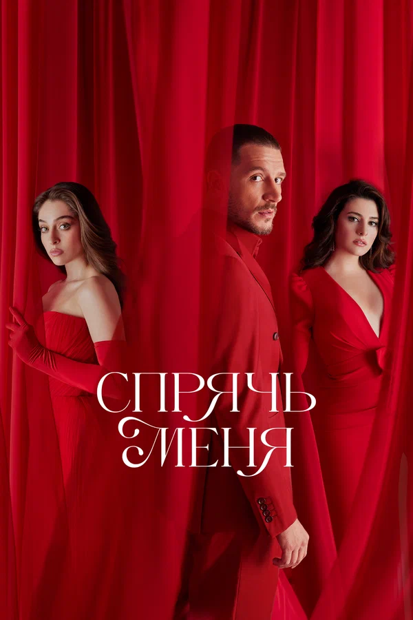Спрячь меня — постер