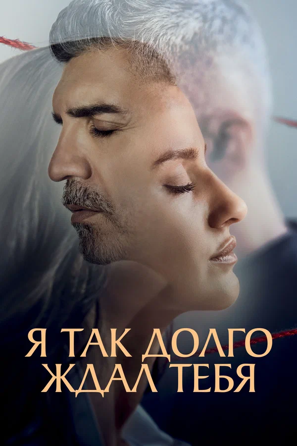 Я так долго ждал тебя — постер